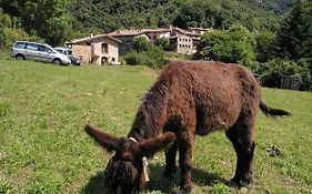 Mas La Cabanya Beget Xalet De Muntanya